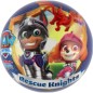 Míč Tlapková patrola/Paw patrol nafouknutý 14cm