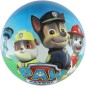 Míč Tlapková patrola/Paw patrol nafouknutý 23cm