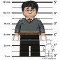 LEGO Harry Potter baterka