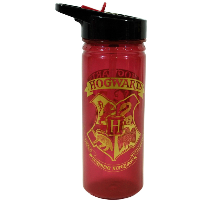 Láhev Harry Potter 450 ml