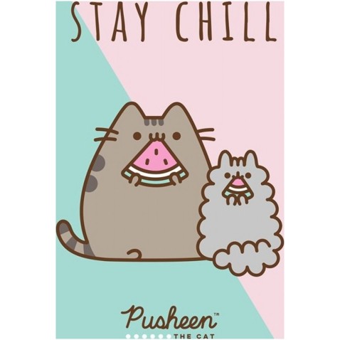 Dětský ručník Kočička Pusheen Stay Chill