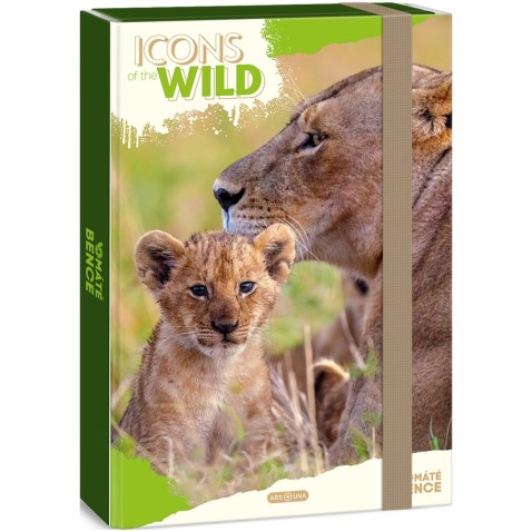 Box na sešity A4 Icons of the Wild - Lions
