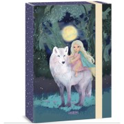 Box na sešity A4 ArsUna Northern Lights