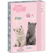 Box na sešity A5 ArsUna Cute Animals - tea party