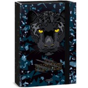 Box na sešity A5 ArsUna Black Panther 26